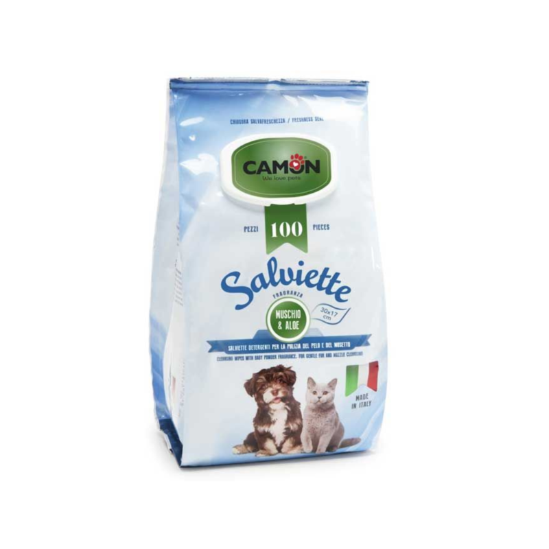 TOALLITAS HUMEDAS CON ALOE VERA 100 UNIDADES CAMON SALVIETTE